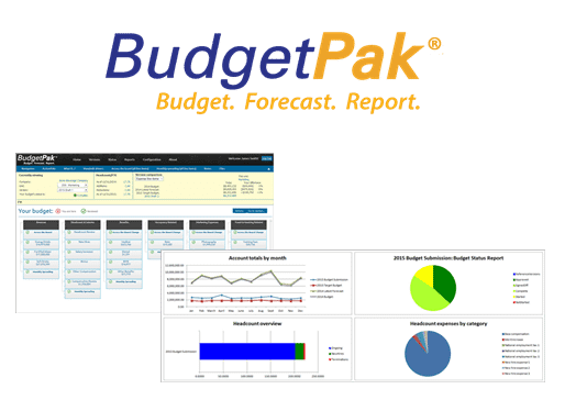 BudgetPak - XLerant